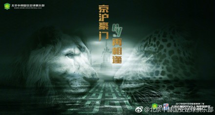 玩偶森林秘境