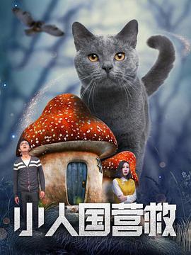 毛片在线高清观看