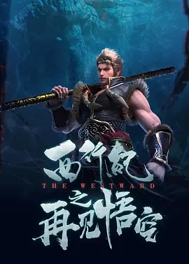 国产精品视频不卡