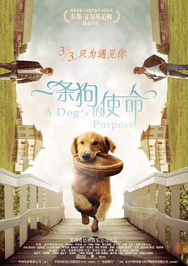 国产欧美在线观看视频