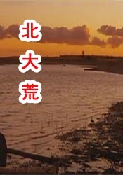 国产极品久久