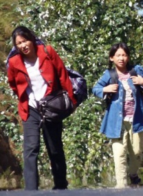 免费b站在线观看人数在哪里查看
