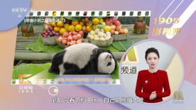 验实室的实习生